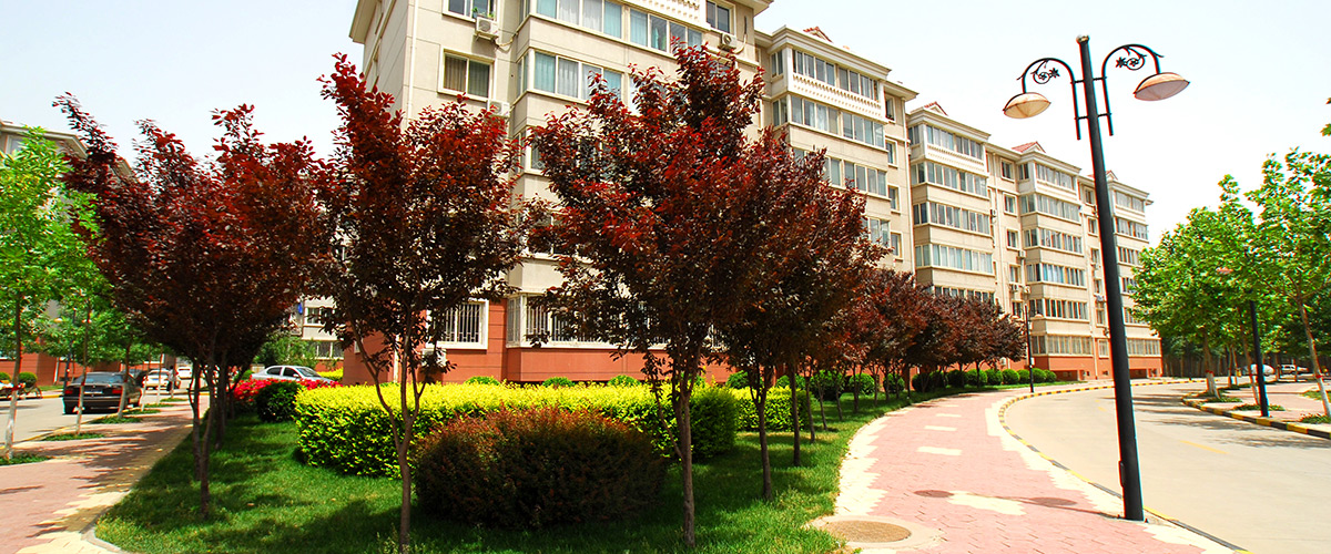 河北安居房地產開發集團有限公司